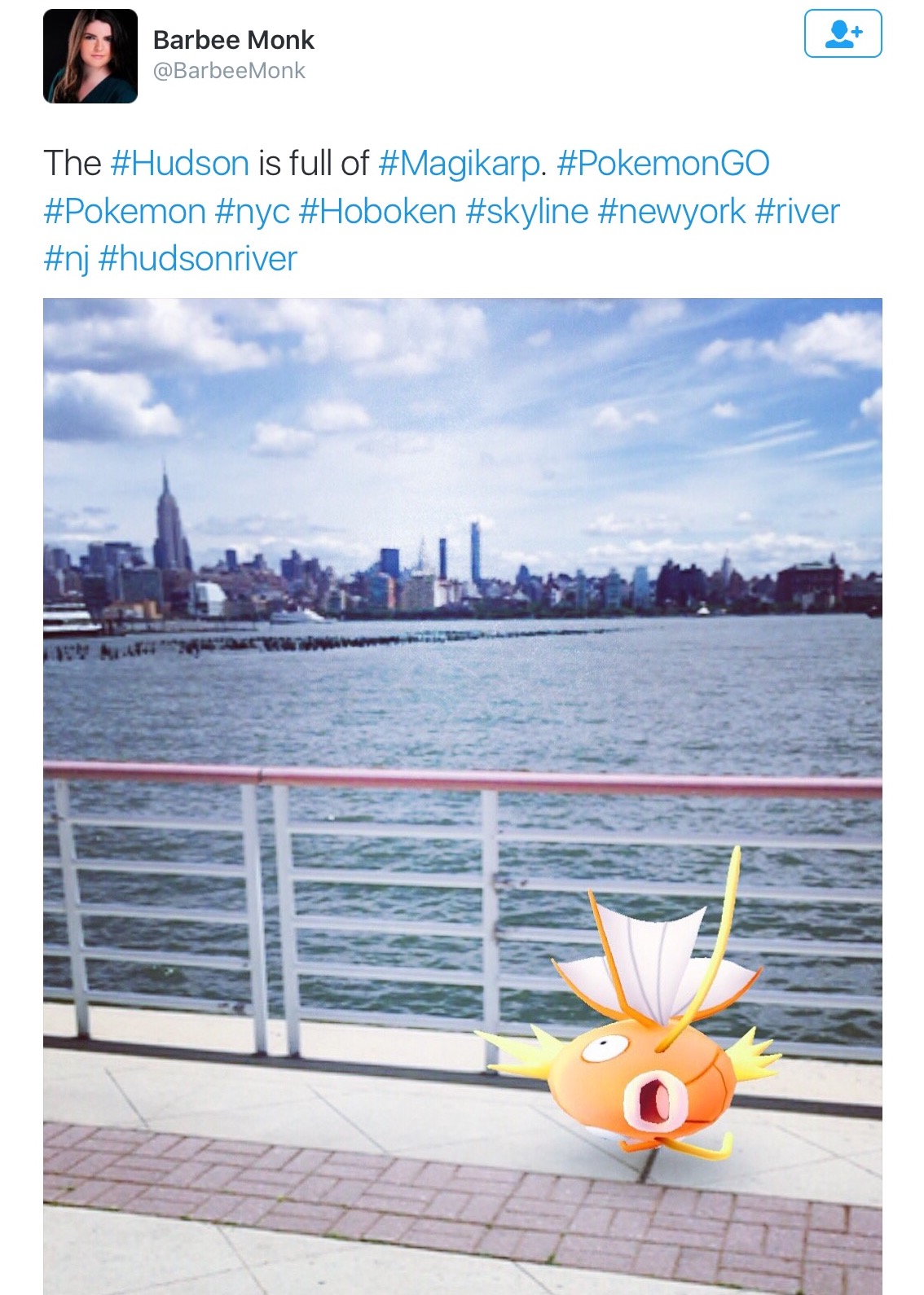 hoboken-girl-blog-water-pokemon-fish