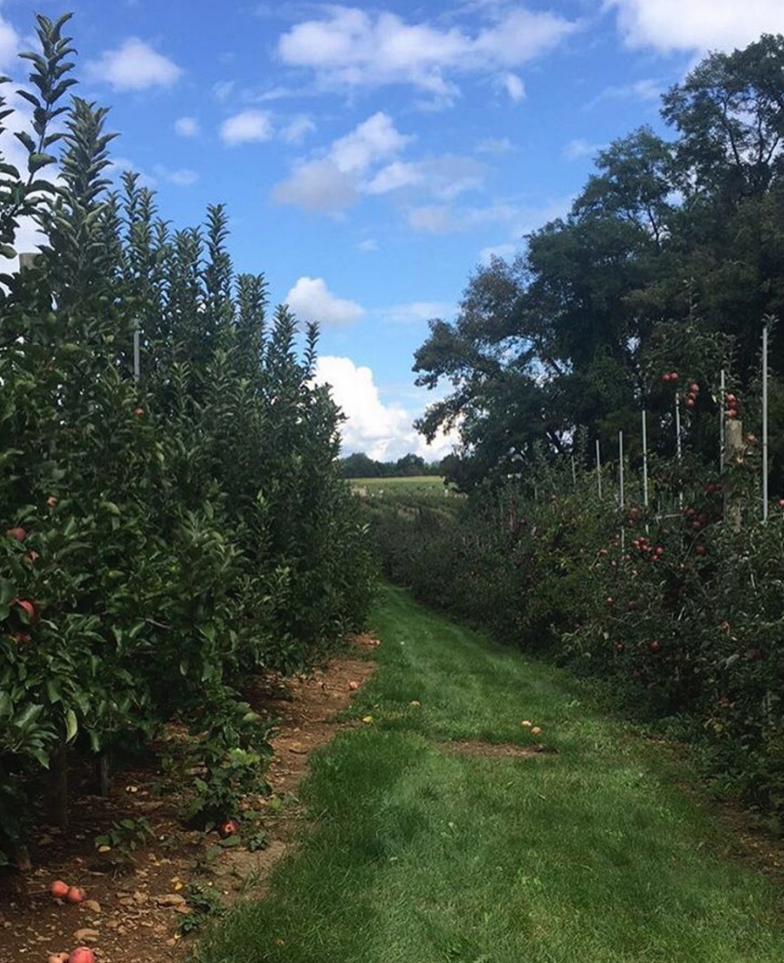 7 New Jersey Apple Orchards & Pumpkin Patches {Near Hoboken and Jersey