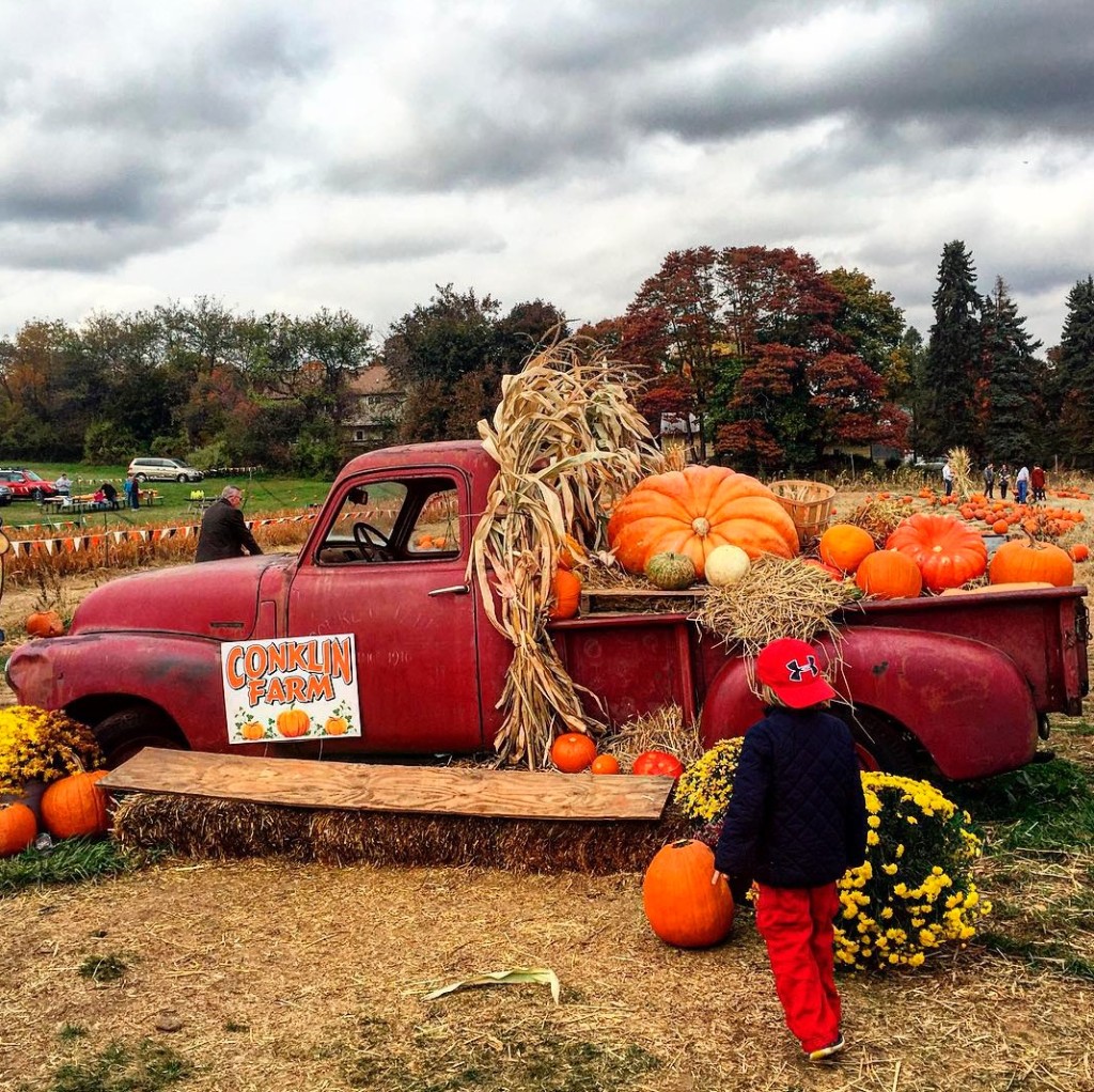 7 New Jersey Apple Orchards & Pumpkin Patches {Near Hoboken and Jersey ...