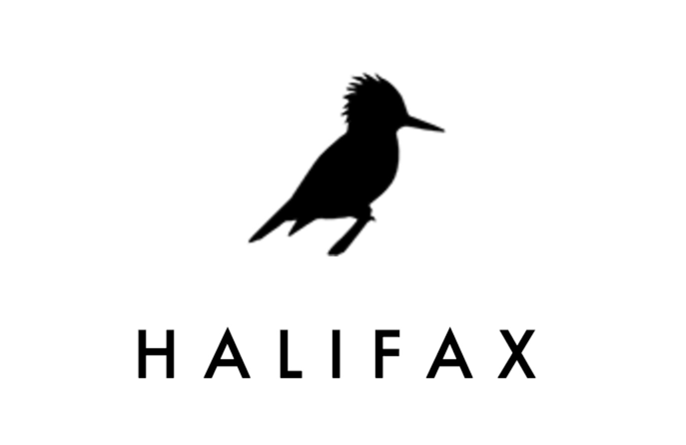 halifax-hoboken-girl