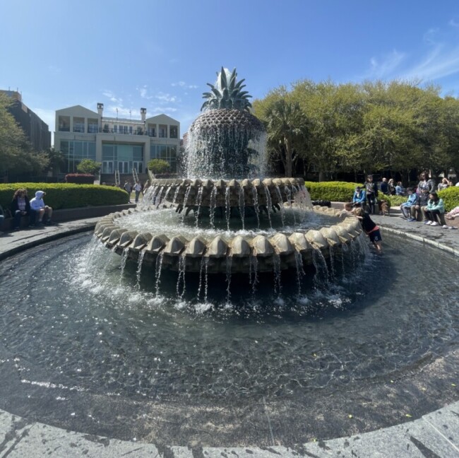 pineapple fountain