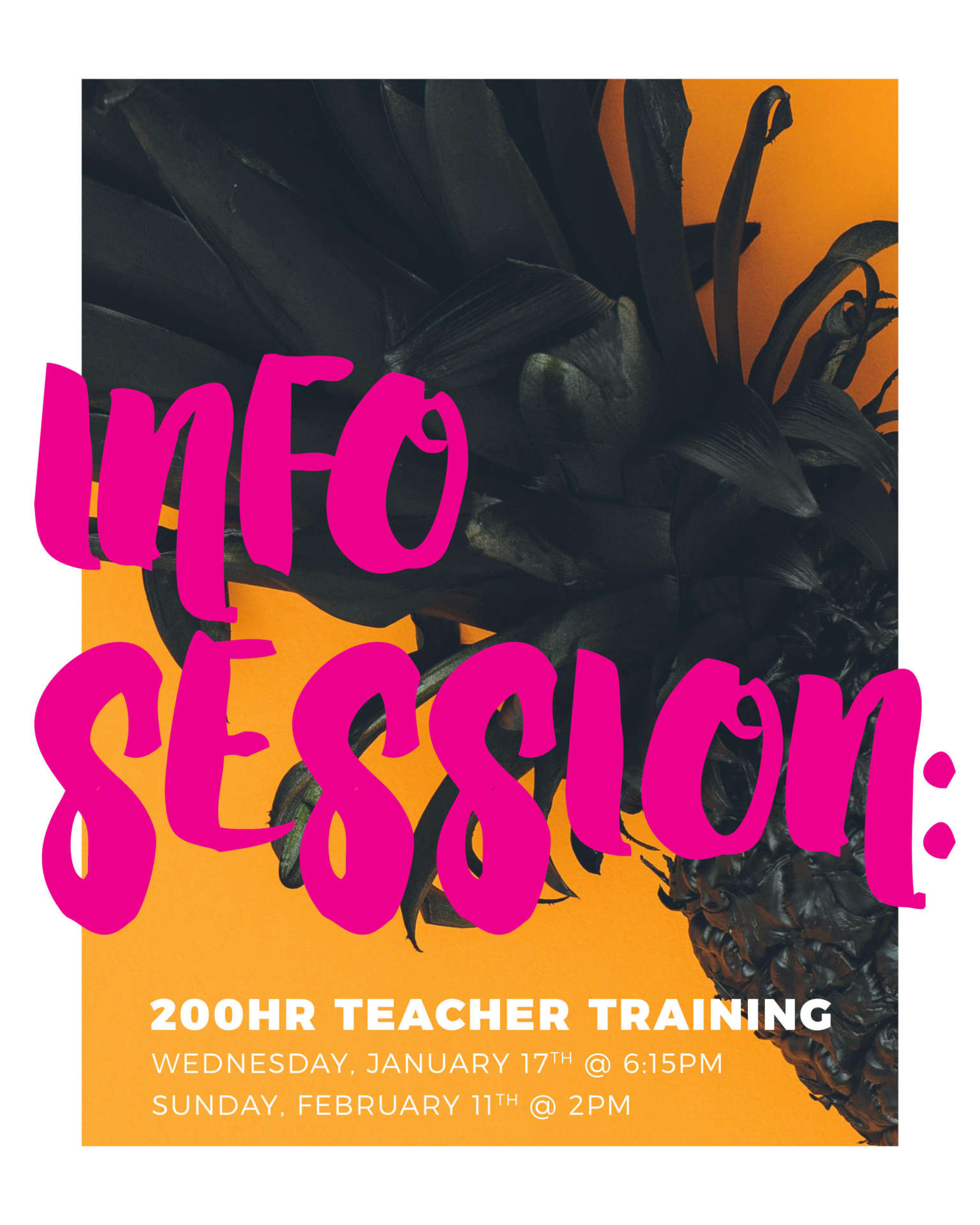 hyp-teacher-training-session