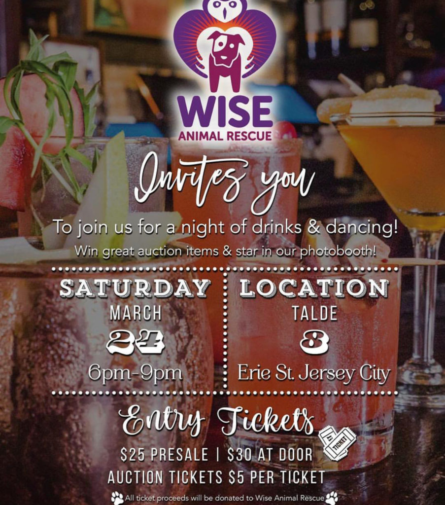wise animal rescue fundraiser