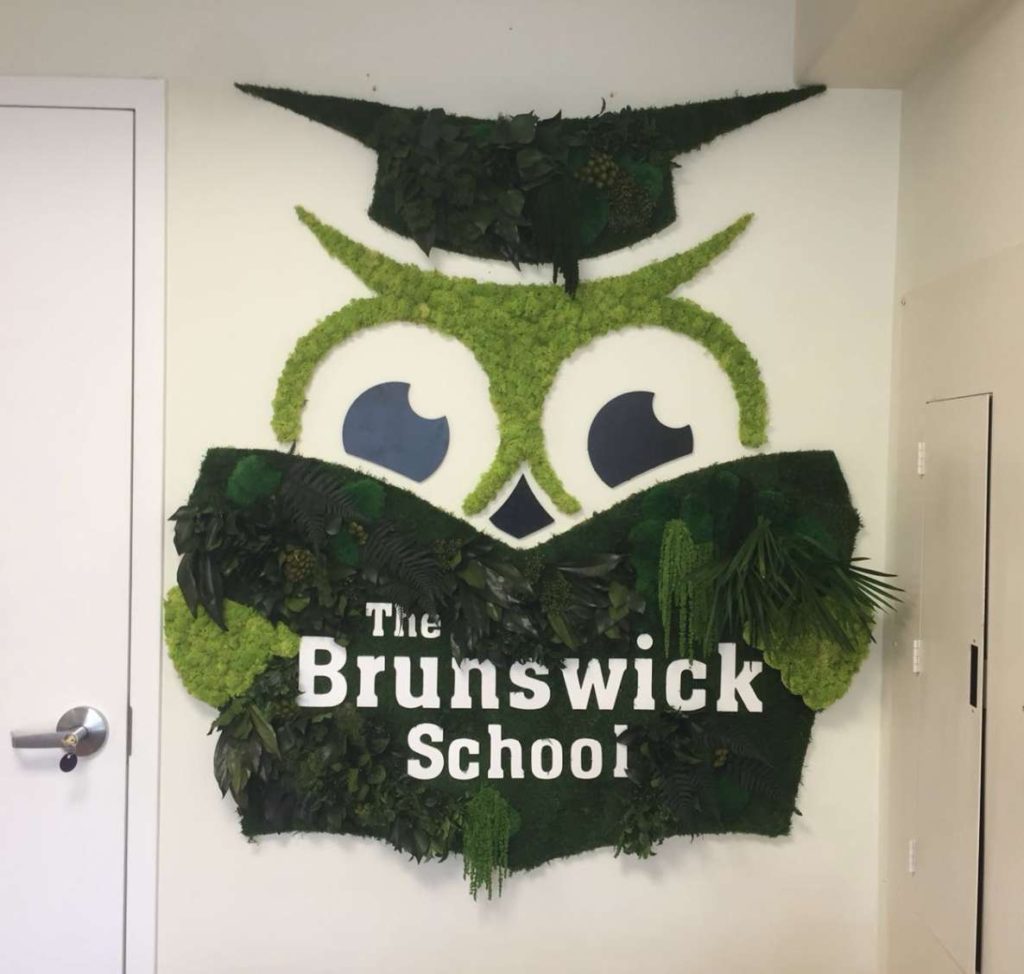 brunswick school flowerbox