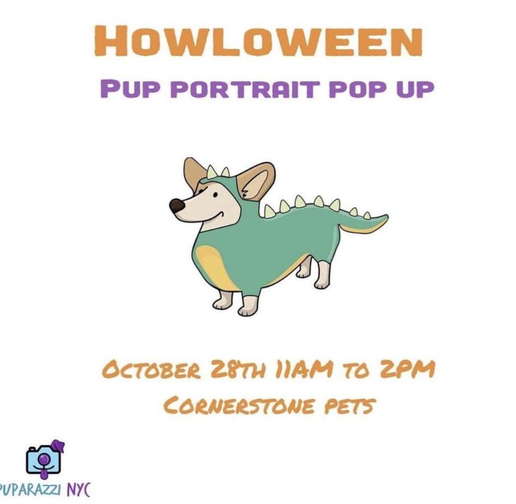 howloween pup portraits 2018 cornerstone pets puparazzi