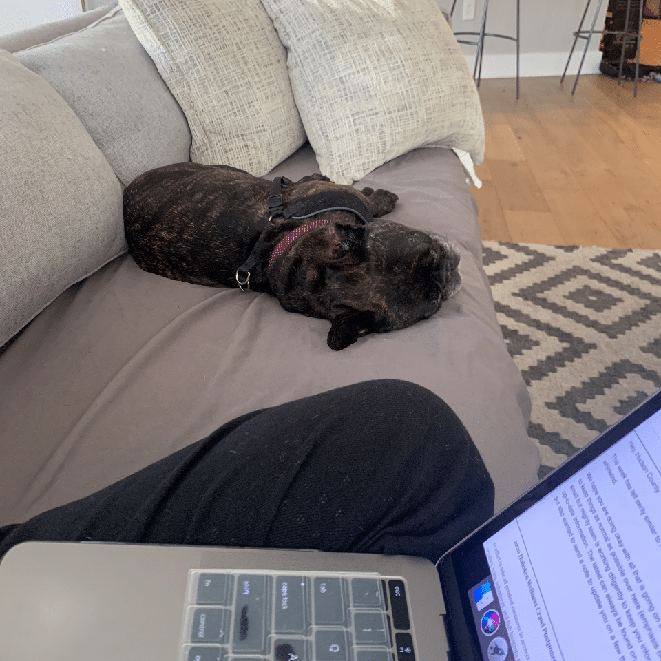 pierre working from homes