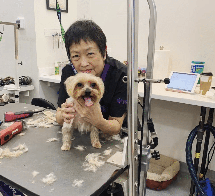 Dog Grooming, Loyal Pet Care