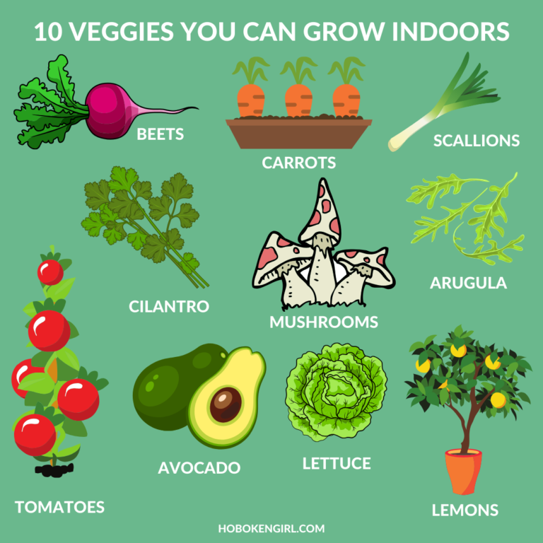 10 Vegetables You Can Grow Indoors (+ Where to Get Them) in Hoboken ...