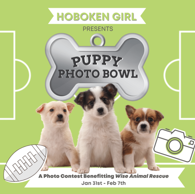 https://www.hobokengirl.com/wp-content/uploads/2021/01/hoboken-girl-puppy-photo-bowl-2021-contest-650x646.png