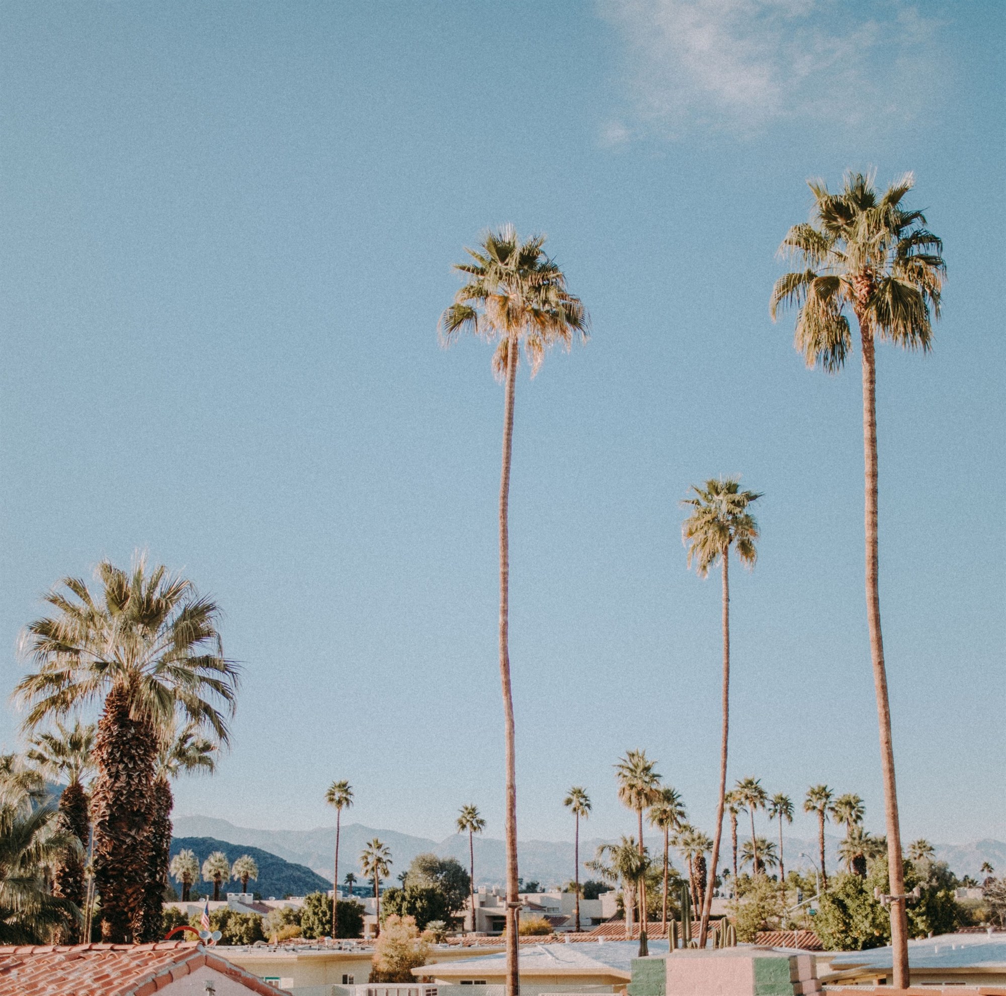 A Getaway to Palm Springs, California | LaptrinhX / News