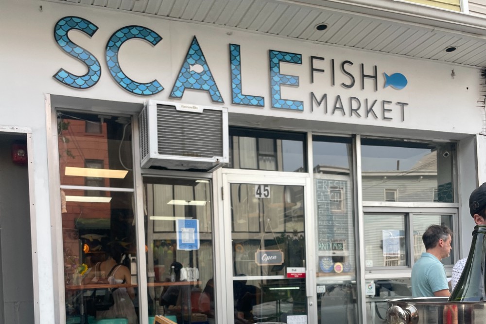 Spring Catch-Up  Fish & seafood market report 2024 - Daily Fish