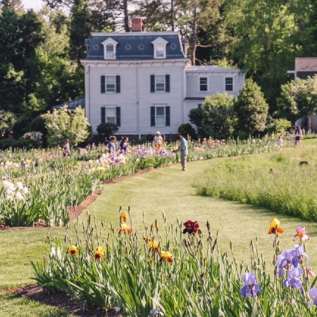 presby iris gardens montclair