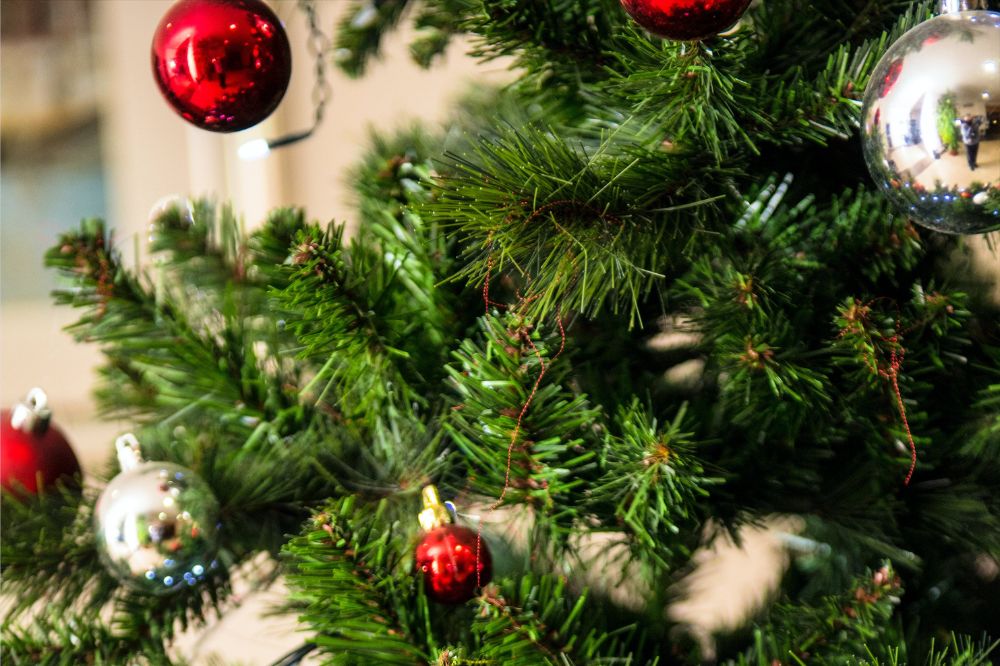 how to dispose of christmas trees hoboken jersey city weehawken montclair