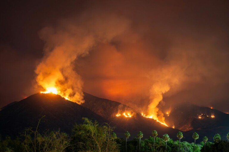 Hoboken + Jersey City Businesses Hosting Los Angeles Fire Relief