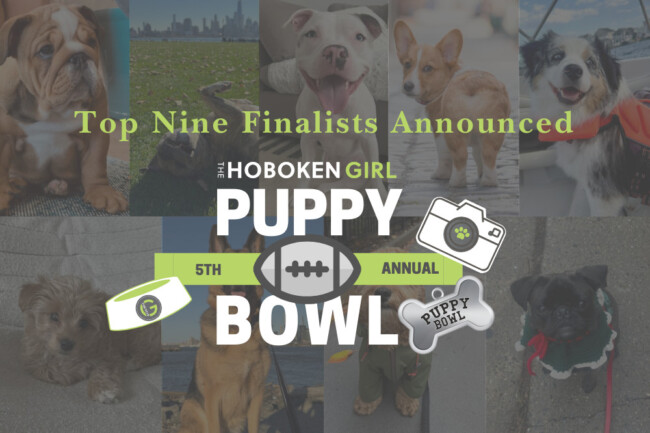 puppy bowl hg