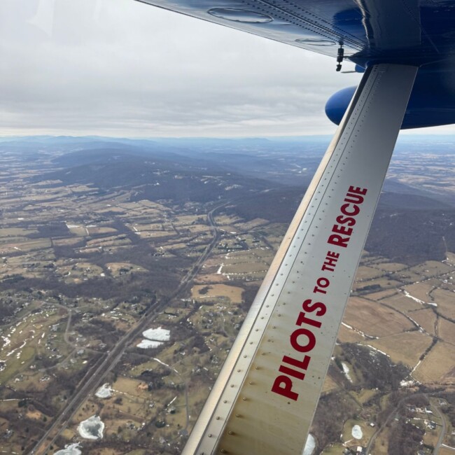 animal rescue mission pilots to the rescue new jersey east coast