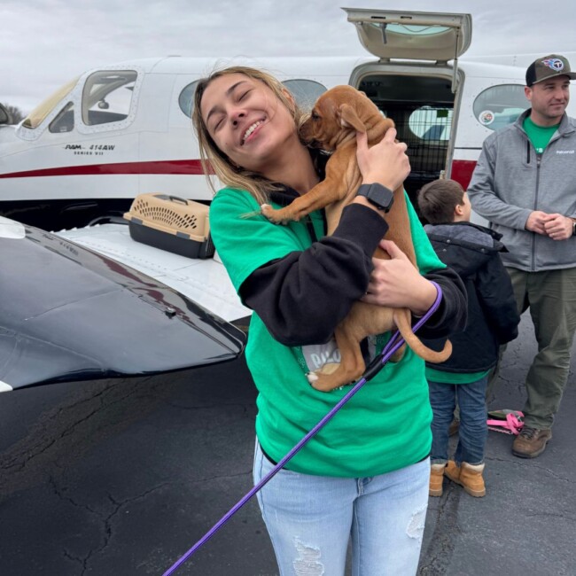 animal rescue mission pilots to the rescue new jersey east coast