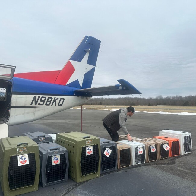 animal rescue mission pilots to the rescue new jersey east coast