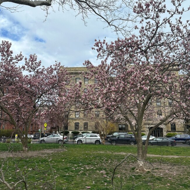 annual events hoboken jersey city nj