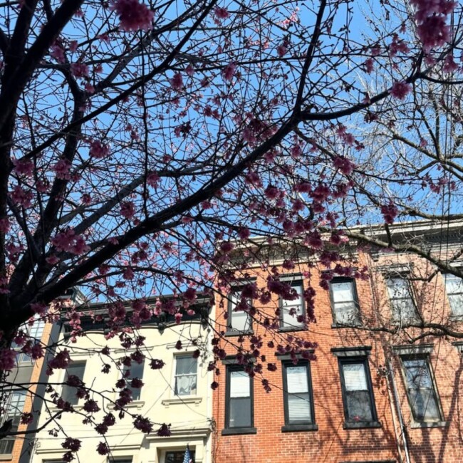 spring activities hoboken nj